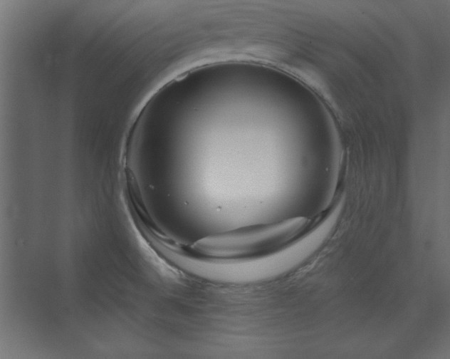 X0000073991524200608211335