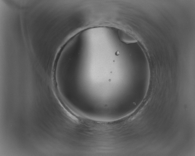 X0000073991525200608211335