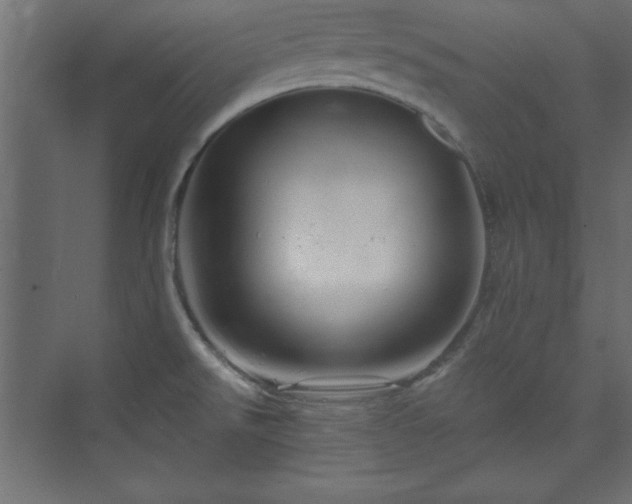 X0000073991526200608211335