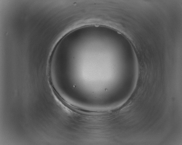 X0000073991527200608211335