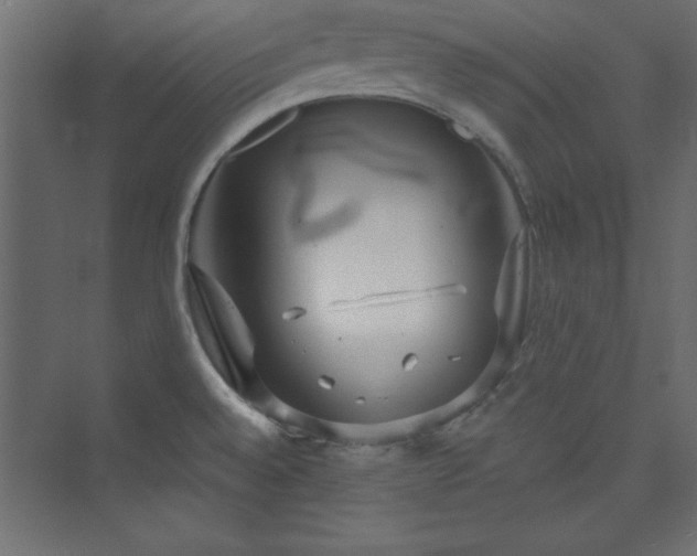 X0000073991528200608211335