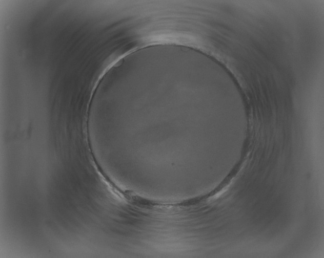 X0000073991529200608211335