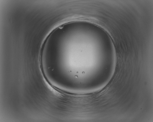 X0000073991531200608211335