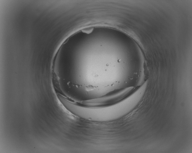 X0000073991532200608211335