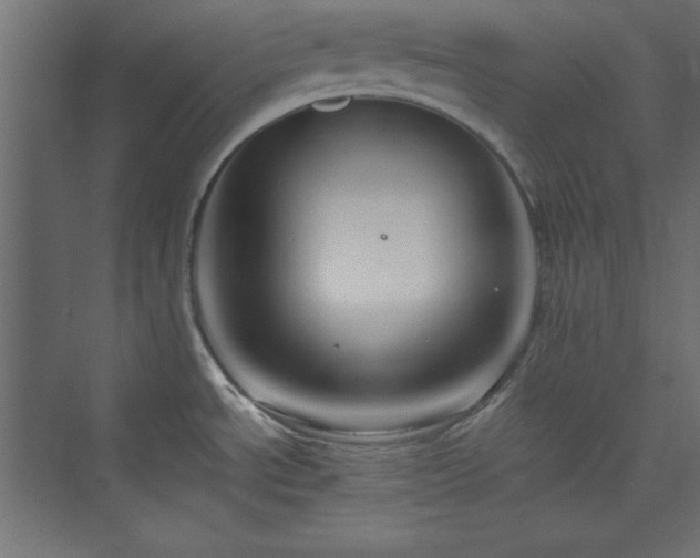 X0000073991534200608211335