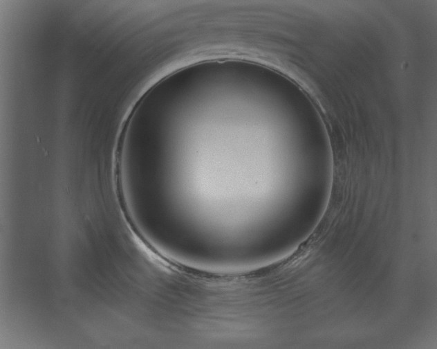 X0000073991535200608211335