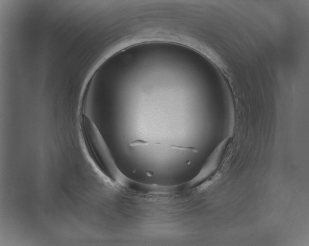 X0000073991536200608211335