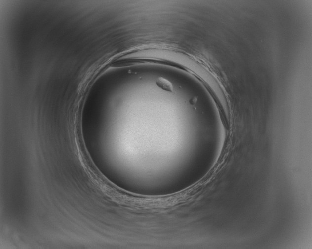 X0000073990001200608281326