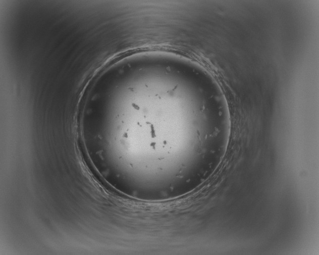 X0000073990002200608281326