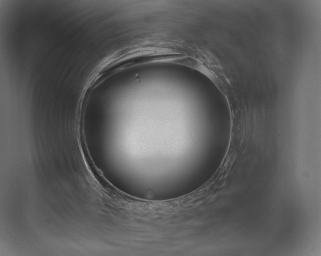 X0000073990003200608281326