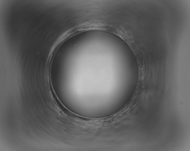 X0000073990004200608281326