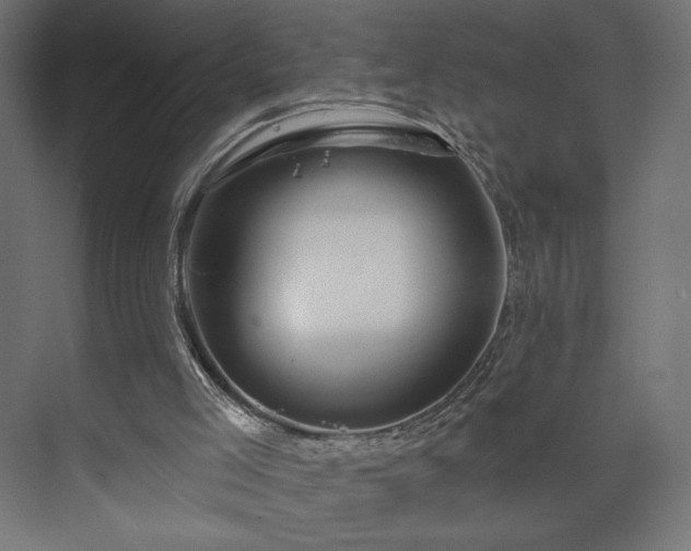 X0000073990005200608281326