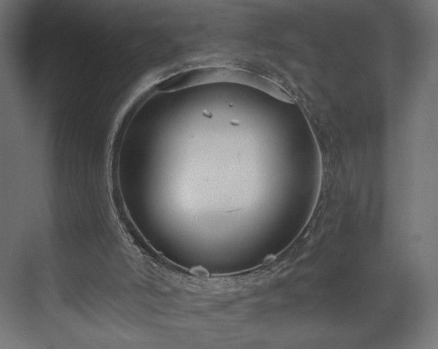 X0000073990006200608281326