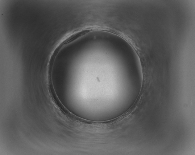 X0000073990008200608281326