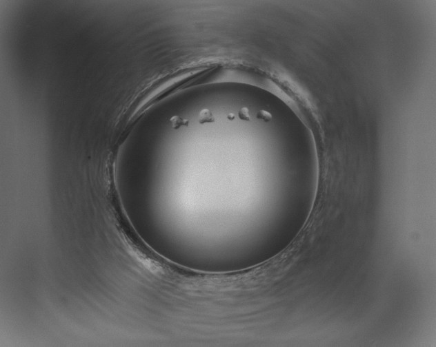 X0000073990009200608281326