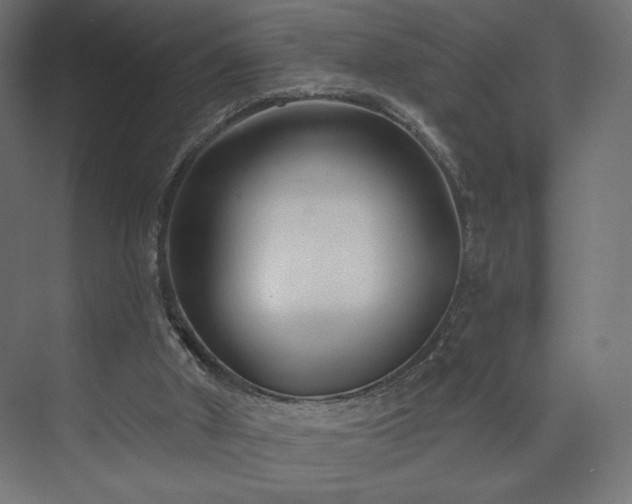 X0000073990010200608281326