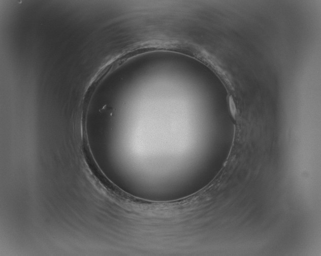 X0000073990011200608281326