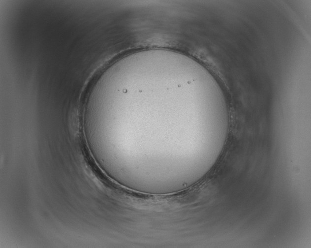 X0000073990012200608281326