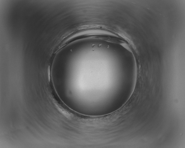 X0000073990013200608281326