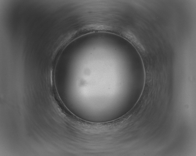 X0000073990014200608281326