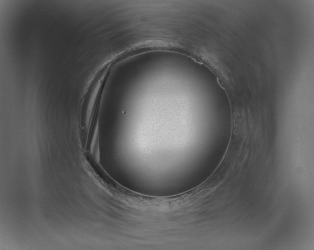 X0000073990015200608281326