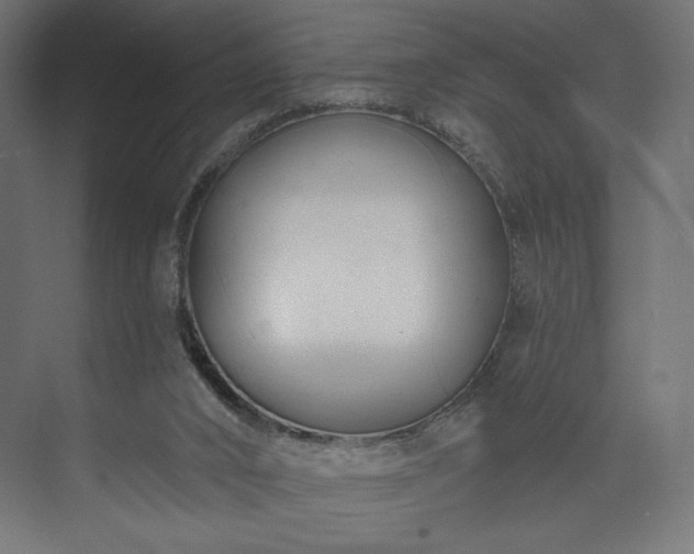 X0000073990016200608281326