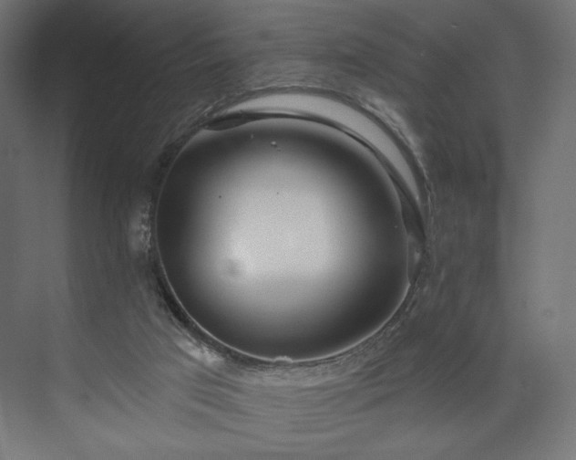 X0000073990017200608281326