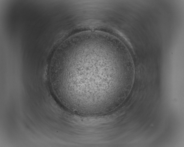 X0000073990018200608281326