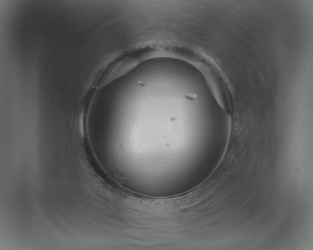 X0000073990019200608281326