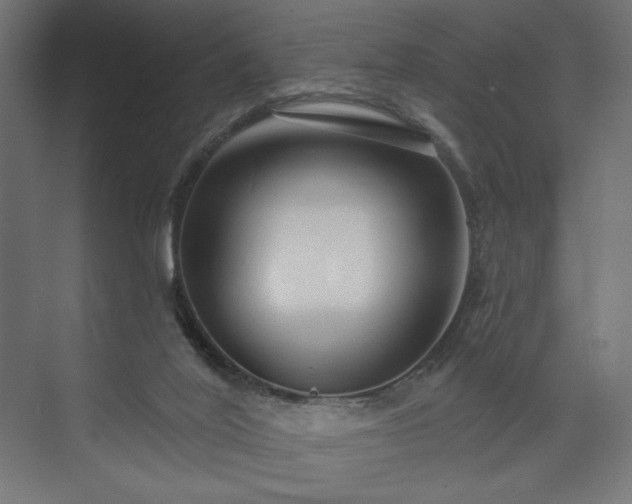 X0000073990020200608281326