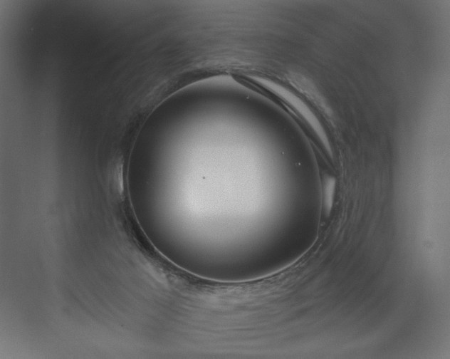 X0000073990021200608281326