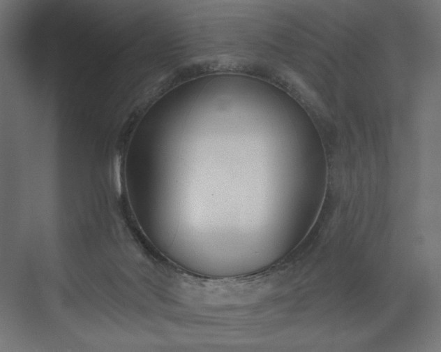 X0000073990022200608281326