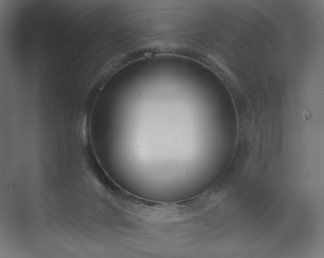 X0000073990024200608281325