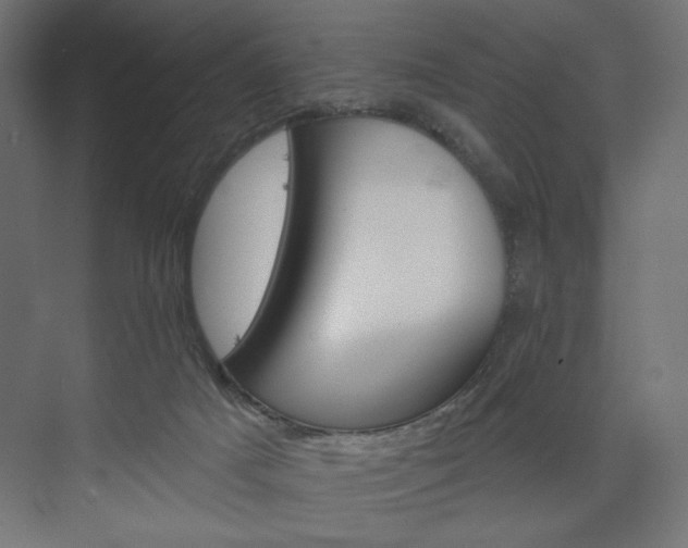 X0000073990025200608281325