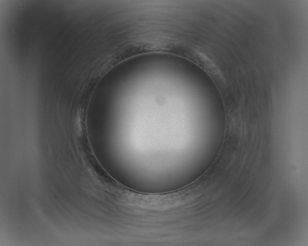 X0000073990026200608281325