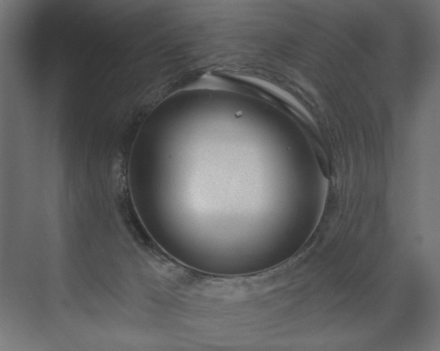 X0000073990029200608281325