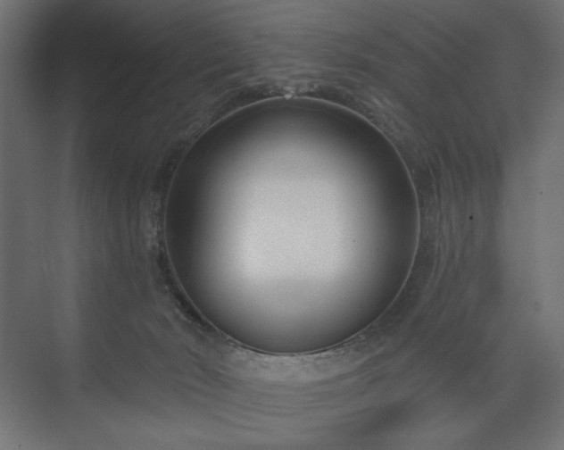 X0000073990030200608281325