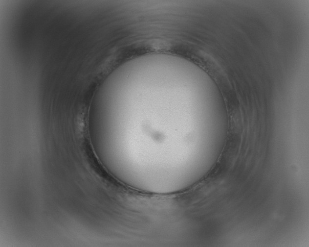 X0000073990032200608281325