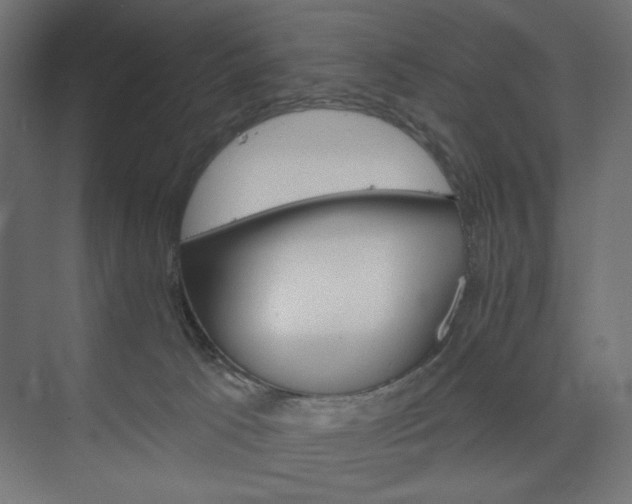 X0000073990033200608281325