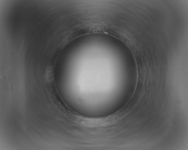 X0000073990034200608281325