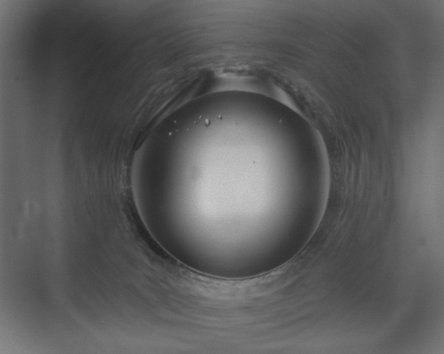 X0000073990035200608281325