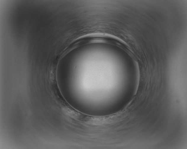 X0000073990037200608281325