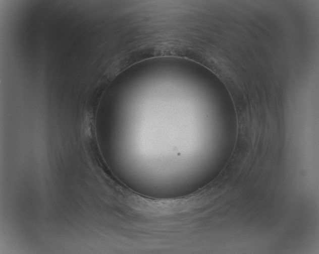 X0000073990038200608281325