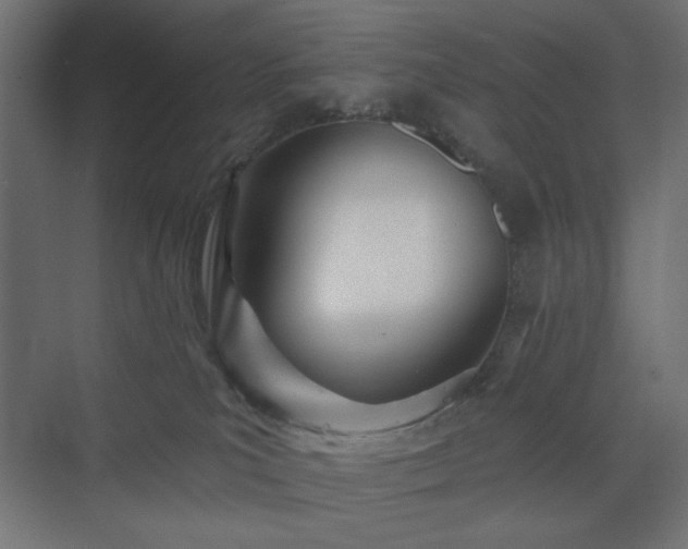 X0000073990039200608281325