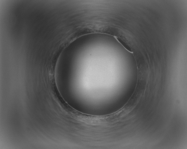 X0000073990040200608281325