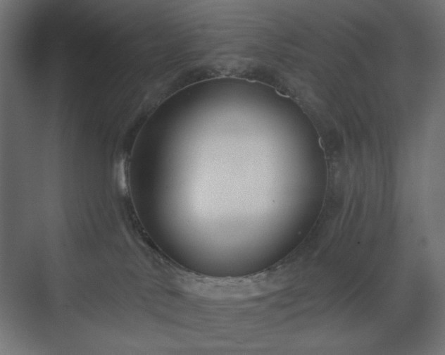 X0000073990042200608281325