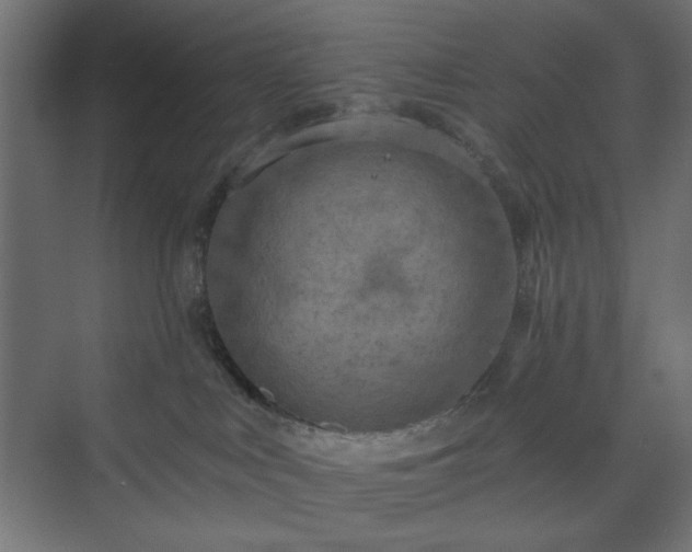 X0000073990043200608281325