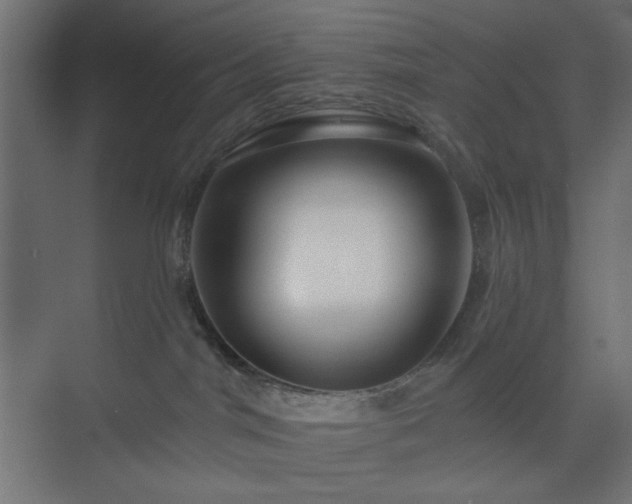 X0000073990044200608281325