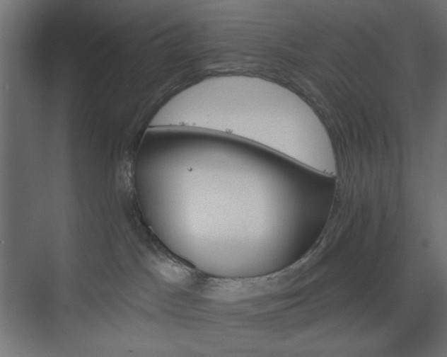 X0000073990045200608281325