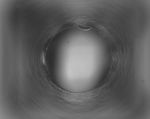 X0000073990046200608281325